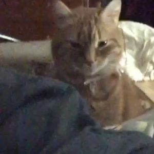 Meet your Posher, Kenneth